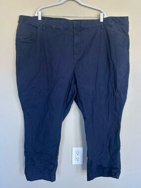Old Navy Womens Pixie Chino Size 30 Plus Blue Cotton Stretch Straight Leg (1577